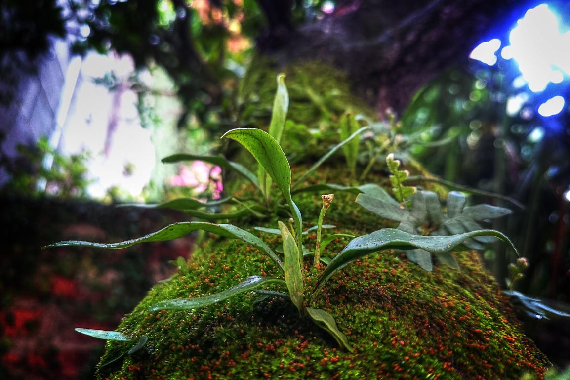 Quam est officia et delectus